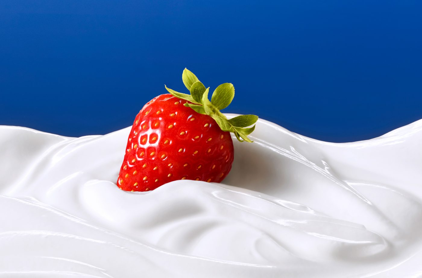 rote reife leckere perfekte Erdbeere liegt in sahnigem Joghurt blauer Hintergrund