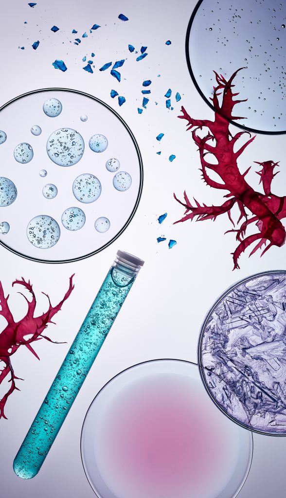 cosmetic Cosmetics products as well as ingredients, plants and lab utensils were arranged into a technical still life