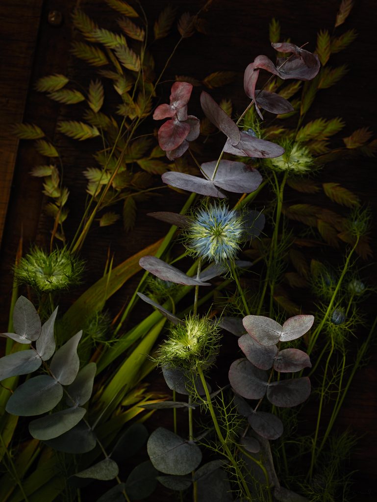 a still life photography from several flowers