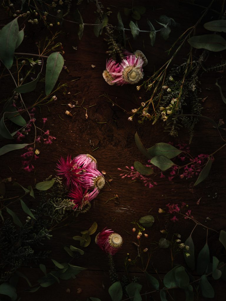 red thistle flowers lie together with other leaves on a dark wooden background. They are photographed with daylight.