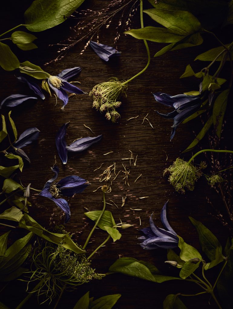 Lila Blumen liegen zusammen mit anderen Blättern auf einem dunklen Holzhintergrund. Sie sind mit Tageslicht fotografiert.