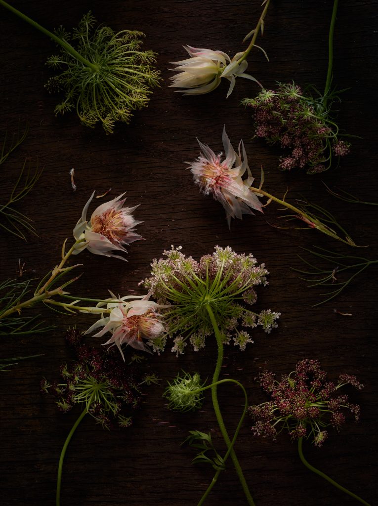 Ein Stillleben aus verschiedenen rosa und violetten Blumen.