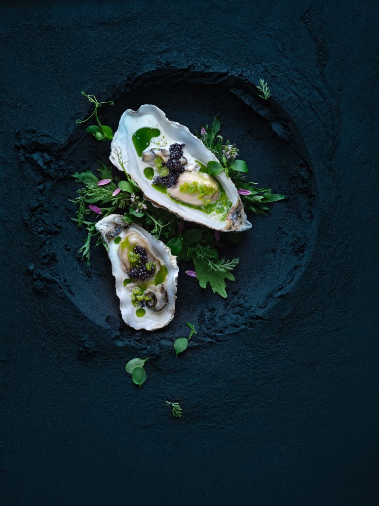 Two oysters lie with herbs and sauce on a dark blue powder background
