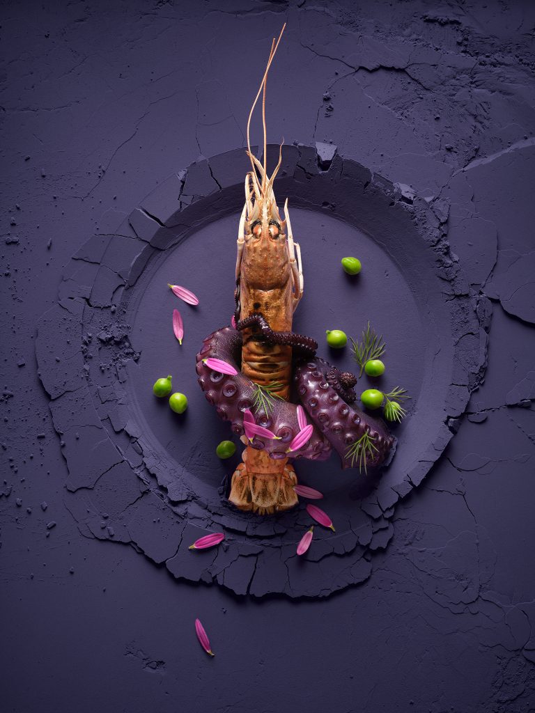 A lobster is wrapped with pulpo. Erpsen herbs and petals lie as a doco around the outside. Everything lies on a dark purple powder background